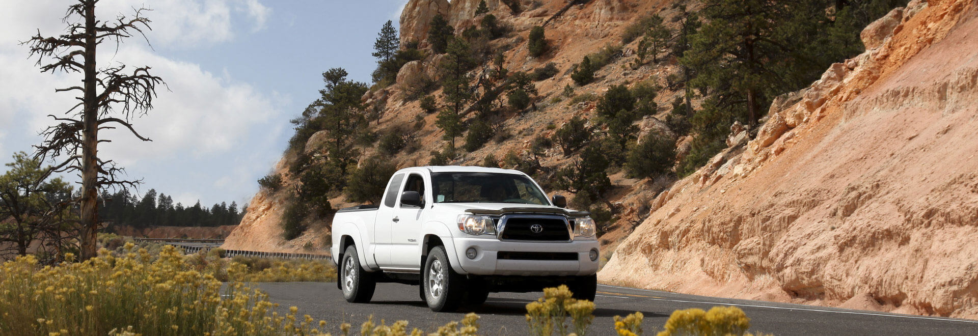 Superior Auto Clinic | Chico Auto Repair